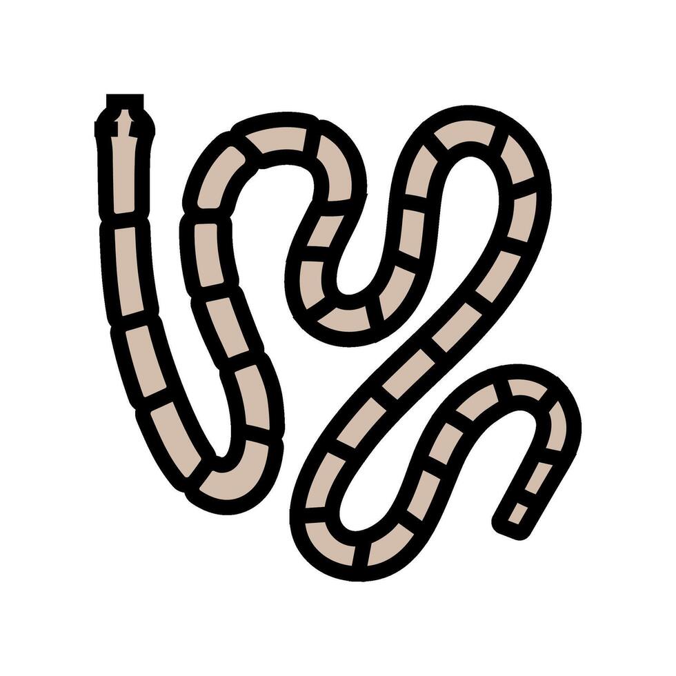 tapeworm parasite color icon illustration vector