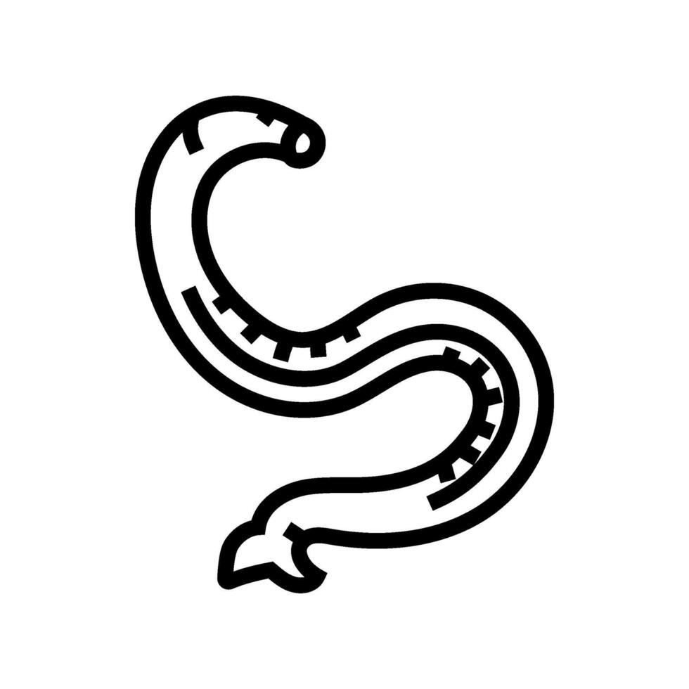 hookworm parasite line icon illustration vector