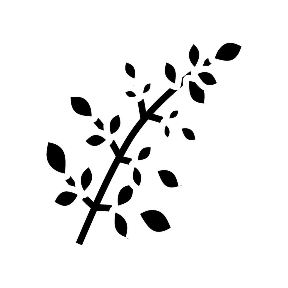 moringa leaves ayurvedic herb glyph icon illustration vector