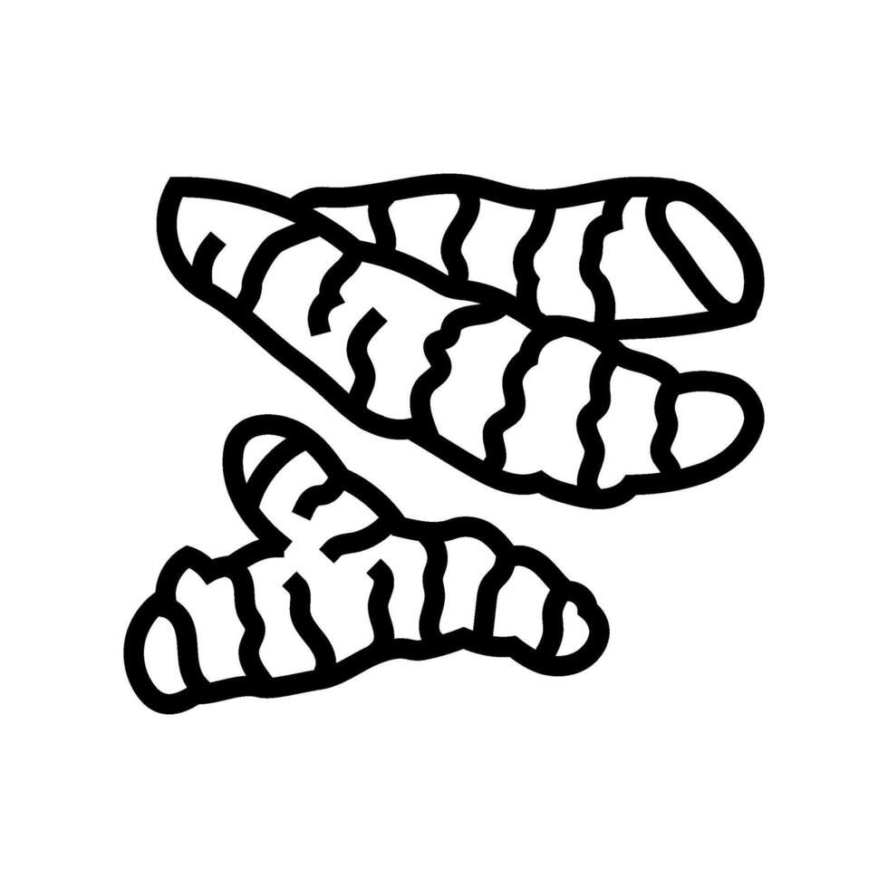 turmeric root ayurvedic herb line icon illustration vector