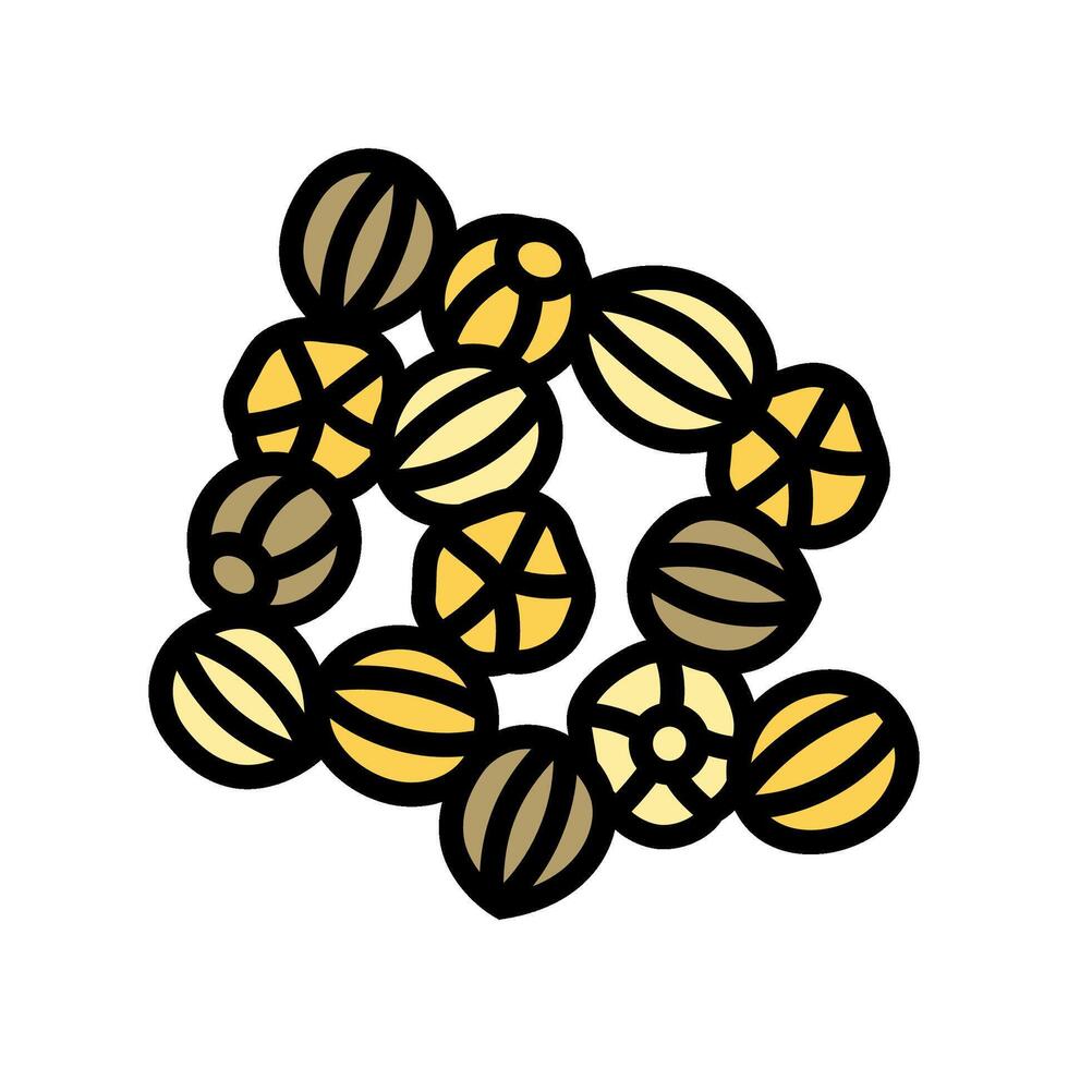 coriander seeds ayurvedic herb color icon illustration vector