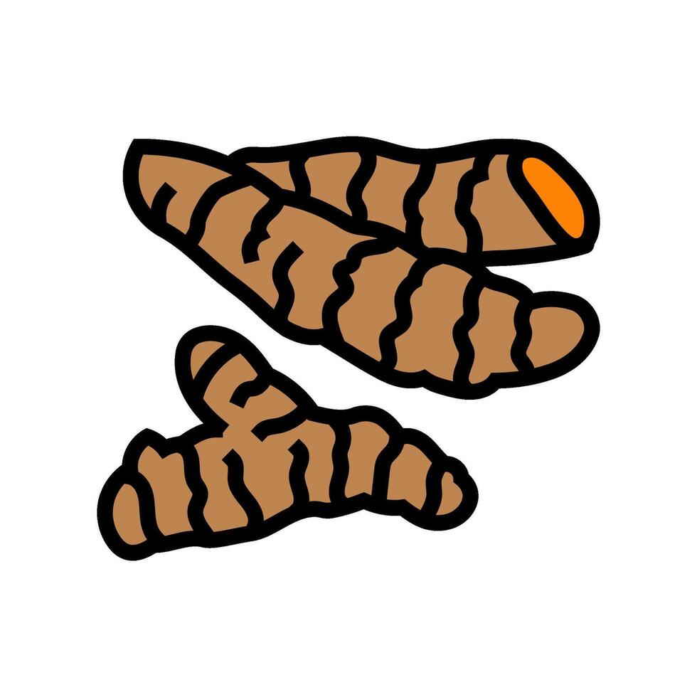 turmeric root ayurvedic herb color icon illustration vector