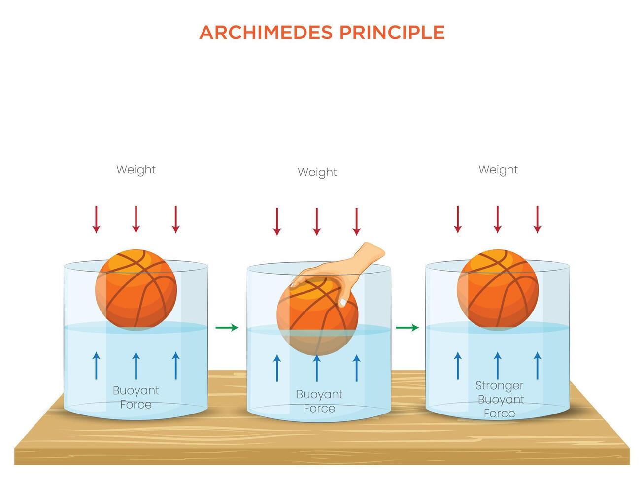 Understanding Archimedes' Principle The Science of Buoyancy and Fluid Displacement vector