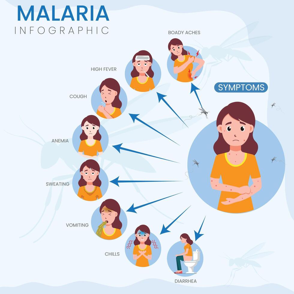 Malaria Symptoms Infographic Identifying Key Signs of Malaria for Early Detection vector