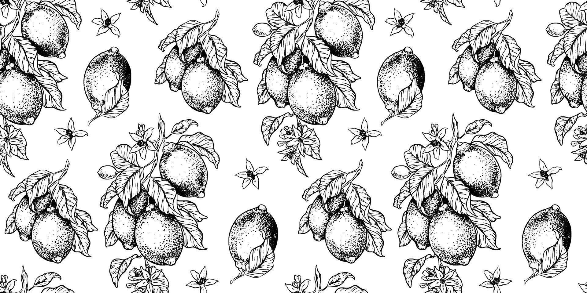 Lemon Branches with fruits leaves, lemon's slices. Hand drawn seamless pattern. Print of Tropical citrus fruit. Background for menu, package, cosmetic, textile, cards vector