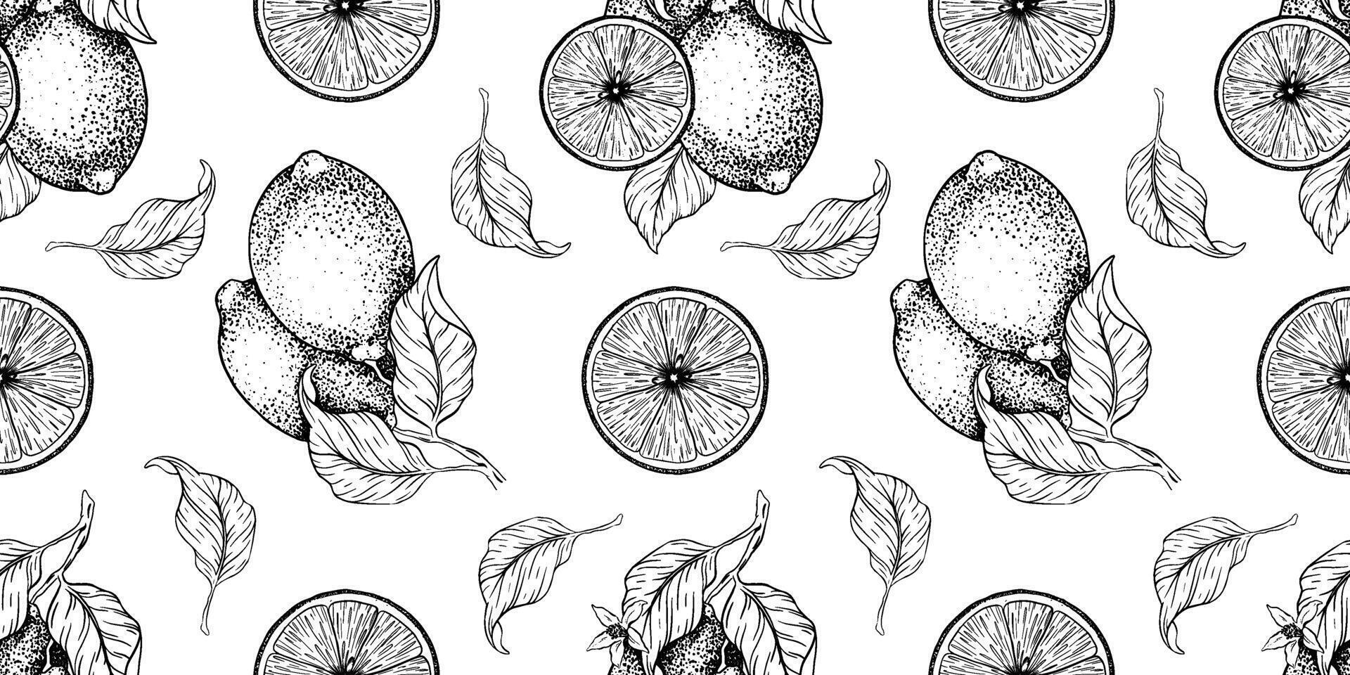 Lemon Branches with fruits leaves, lemon's slices. Hand drawn seamless pattern. Print of Tropical citrus fruit. Background for menu, package, cosmetic, textile, cards vector