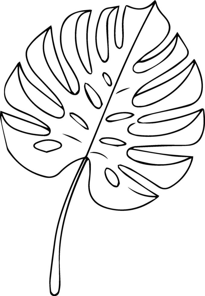Monstera leaf coloring pages vector