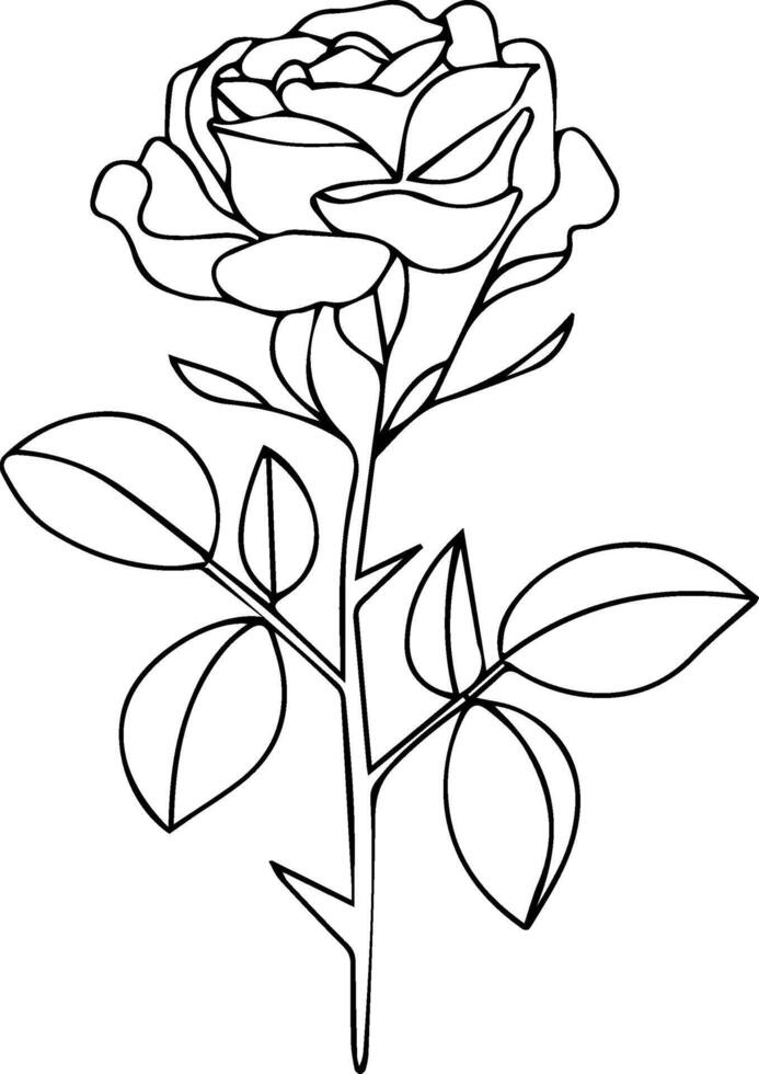 A rose is outlined in black and white vector