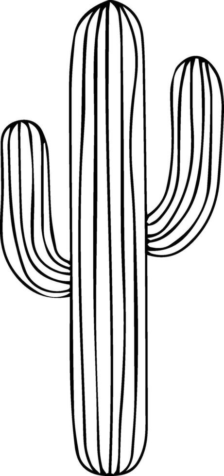 A cactus is drawn in black and white vector