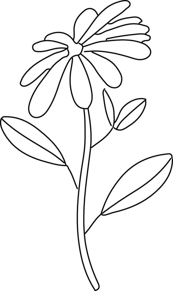 A flower is drawn in black and white on a white background vector