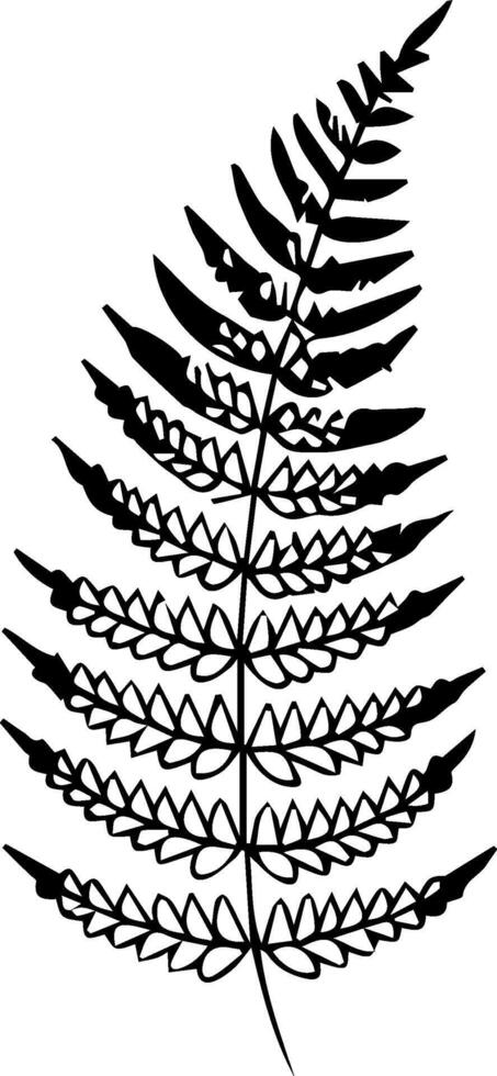 A black and white drawing of a fern leaf vector