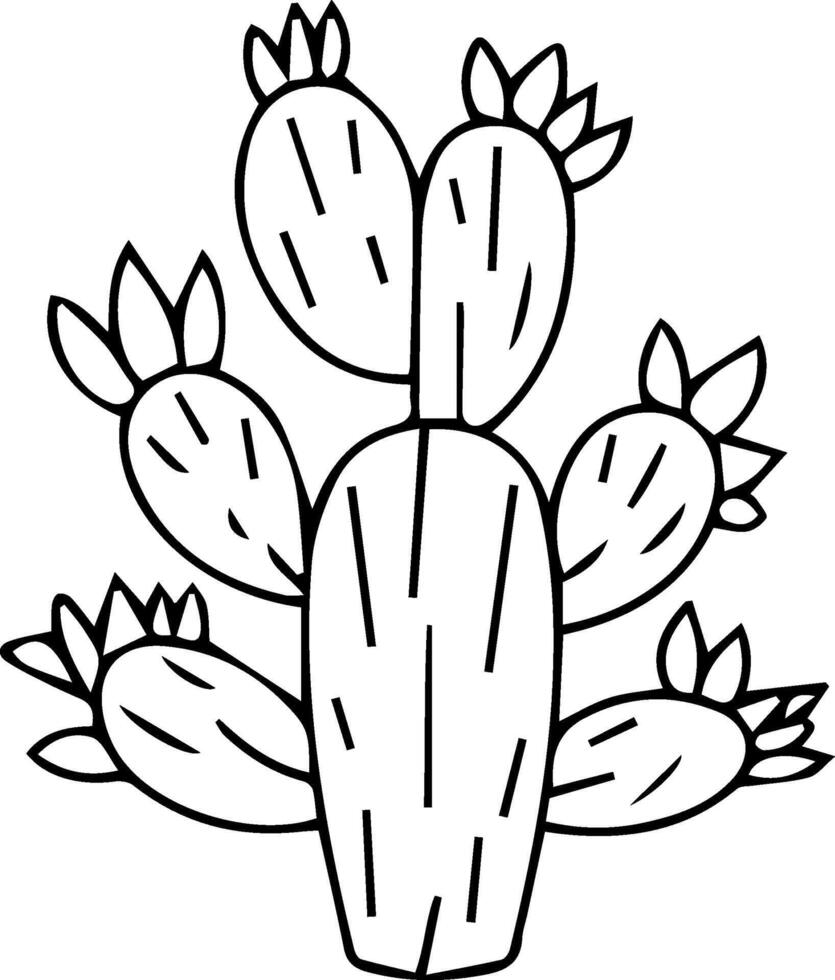Cactus coloring pages vector