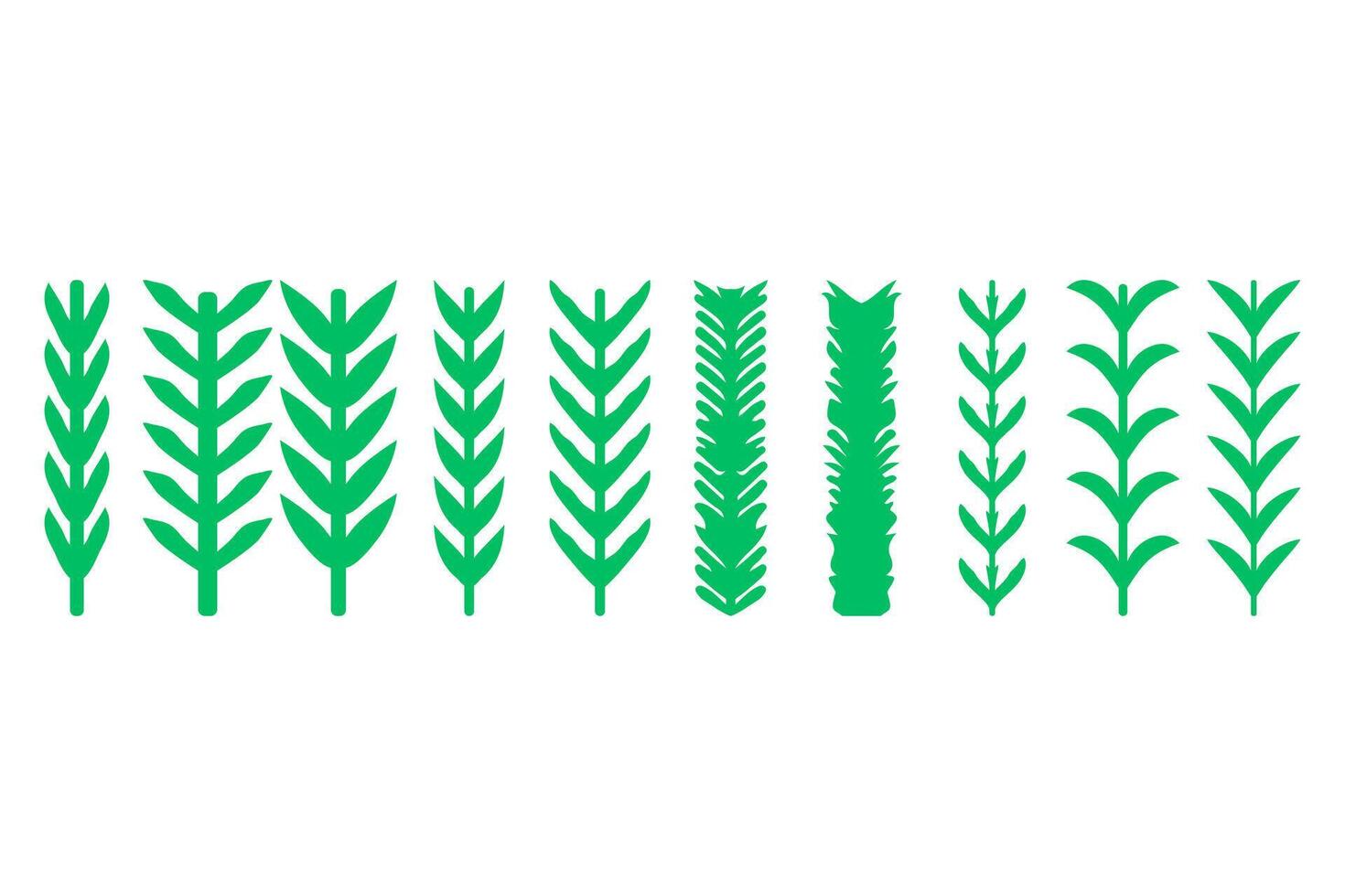 A set of green plants on a white background vector
