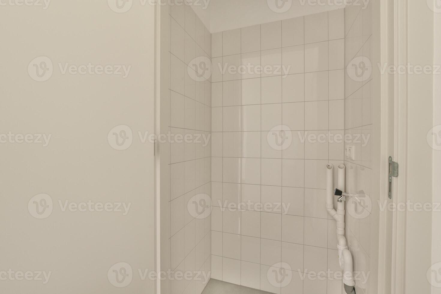 A white bathroom with a shower and toilet photo