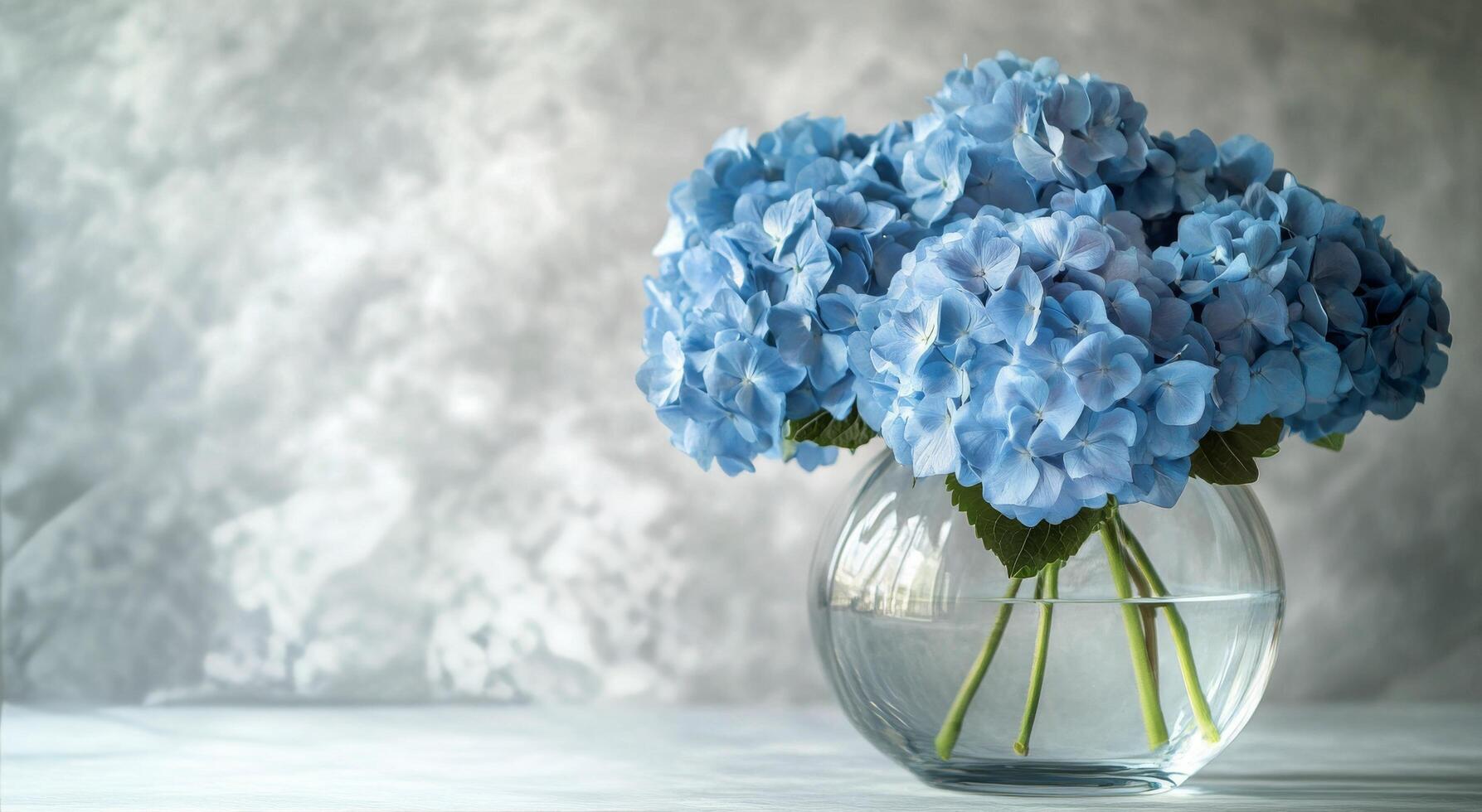 Fresh blue hydrangeas in a clear glass vase placed on a textured gray background indoors photo