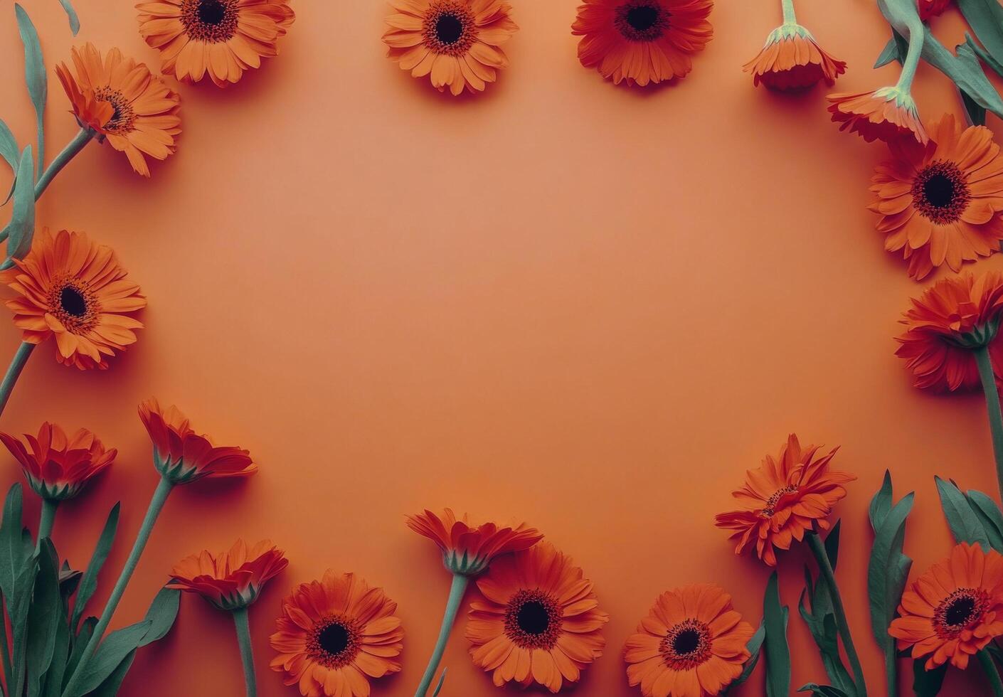 Vibrant red flowers arranged in a circular pattern against a soft orange background photo
