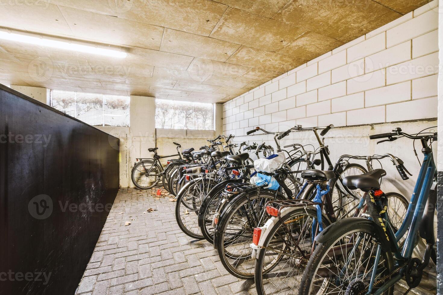 A row of bikes photo