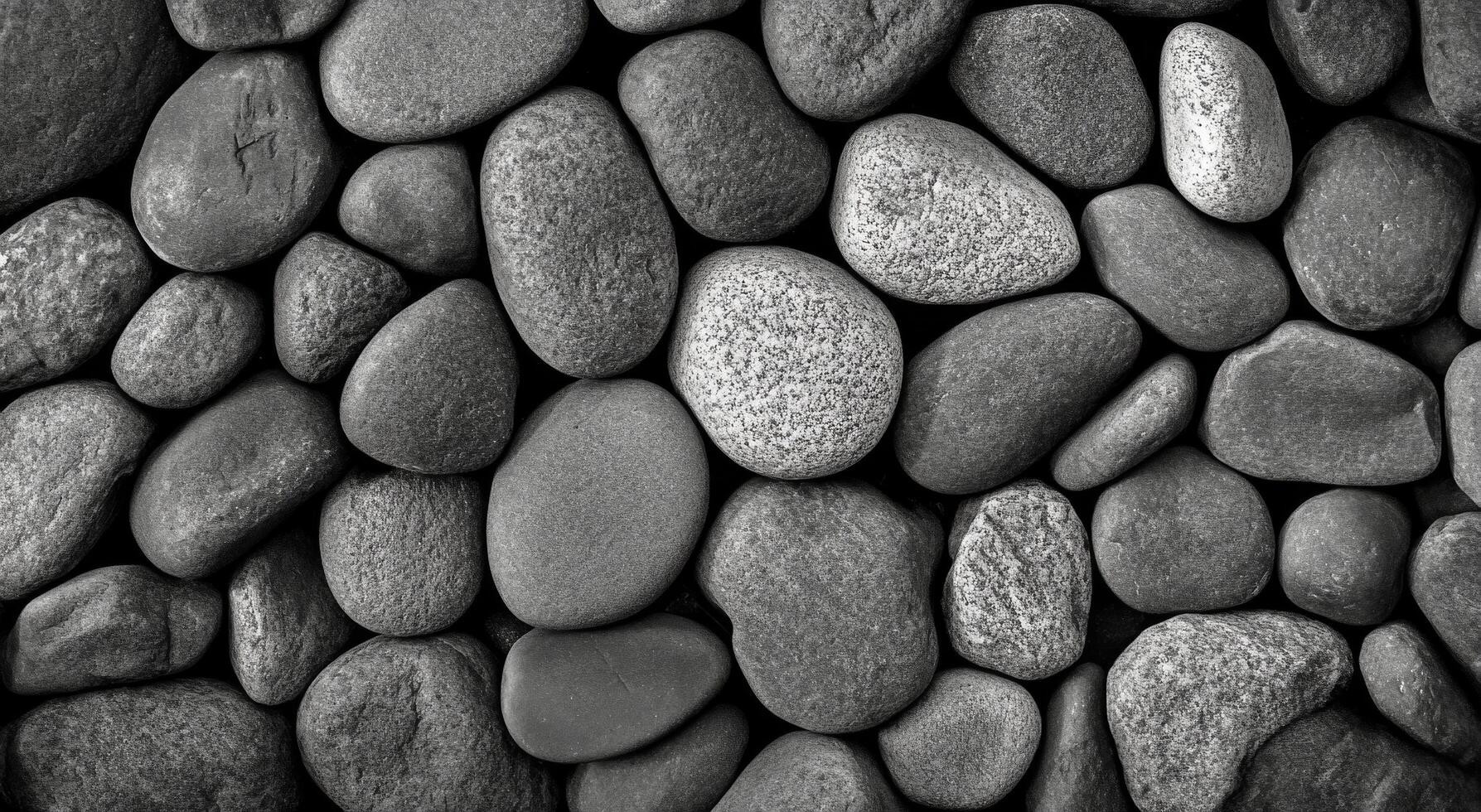 A collection of smooth black stones arranged on a flat surface with varied shapes and sizes photo