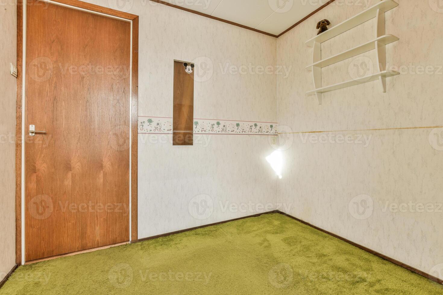 A room with a green carpet and a wooden door photo