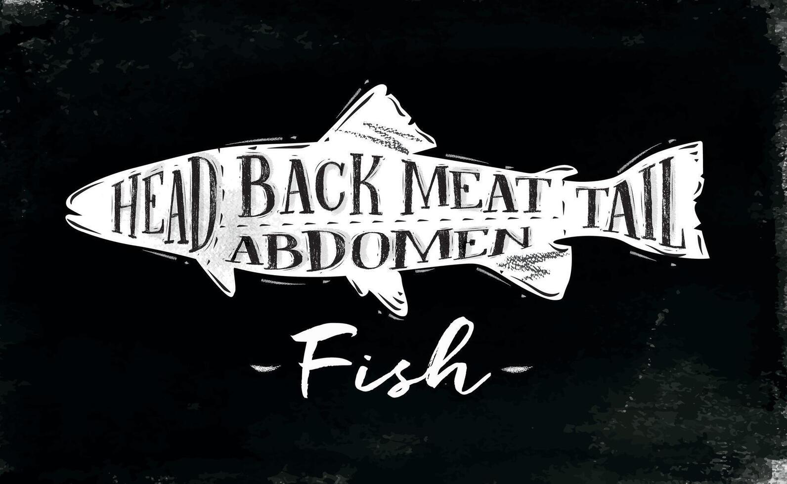 Fish cutting scheme lettering head, back meat, abdomen, tail in vintage style drawing with chalk on chalkboard background vector