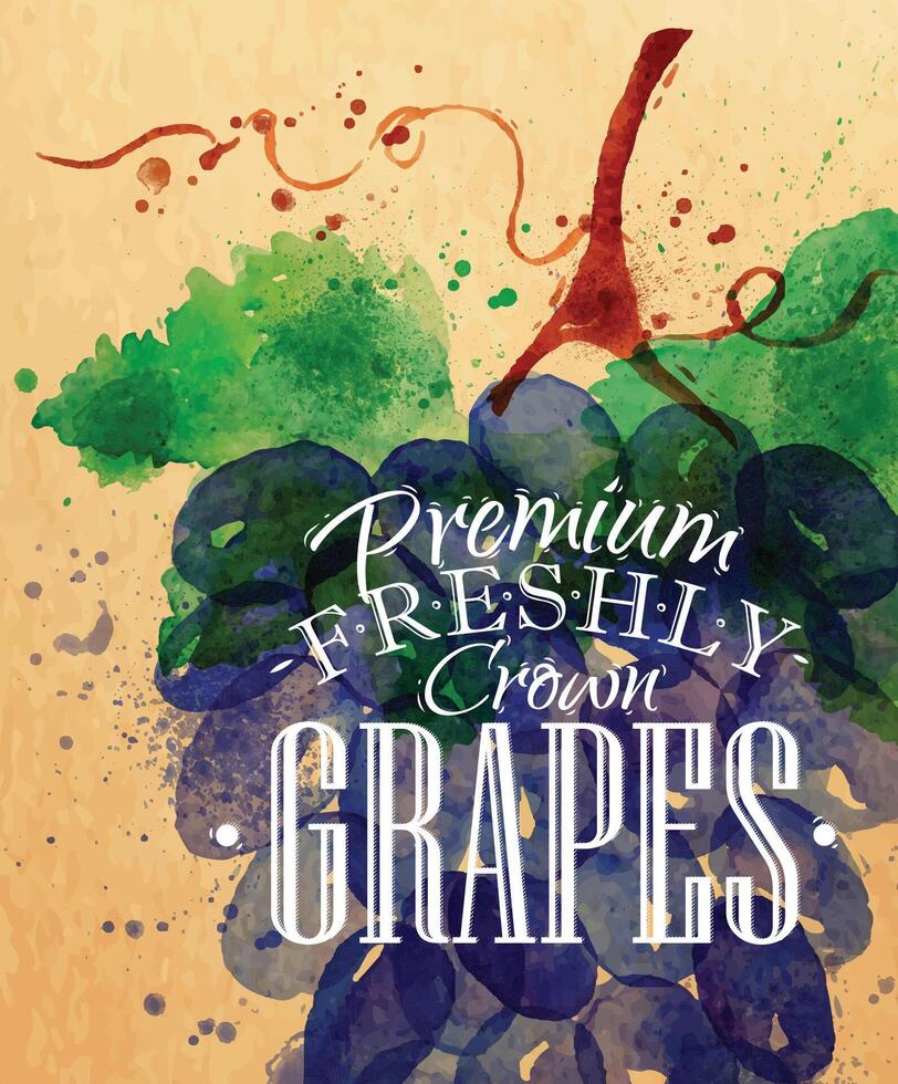 Poster watercolor grapes lettering premium freshly crown grapes drawing on kraft vector