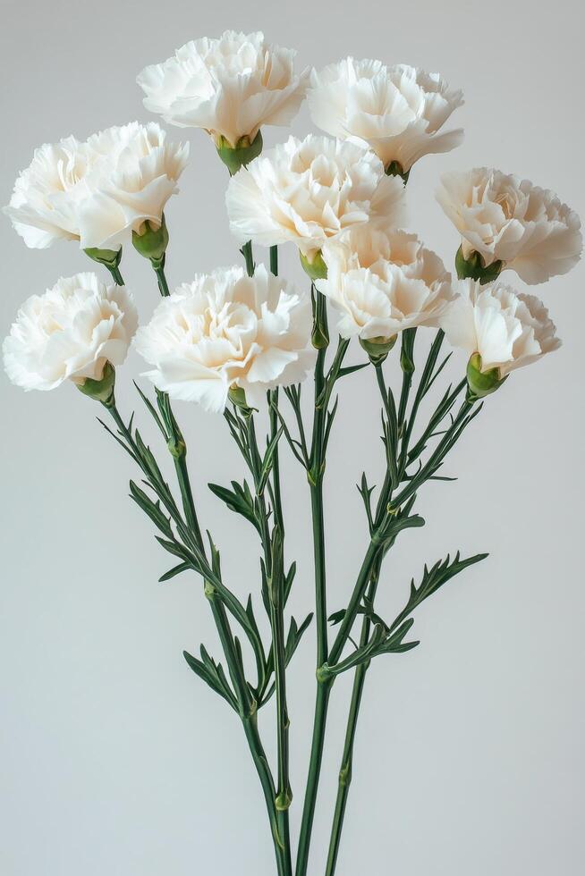 Delicate peach carnations bloom gracefully in a minimalist setting filled with soft lighting photo