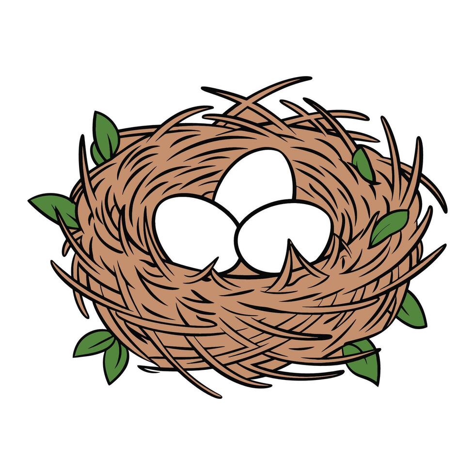 Cozy bird nest with three eggs illustration vector