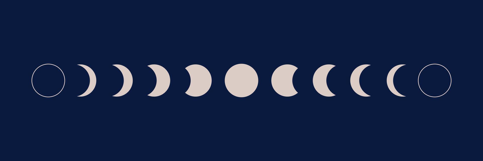 Phases of moon infographic. New, Full, Waning Crescent, First and Last Quarter moon vector