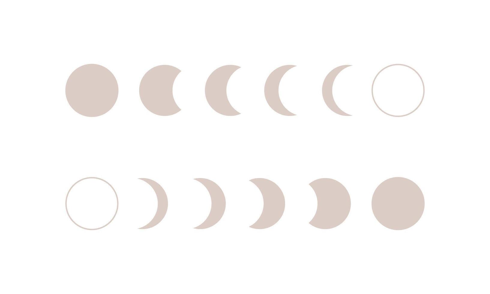 Phases of moon infographic. New, Full, Waning Crescent, First and Last Quarter moon vector