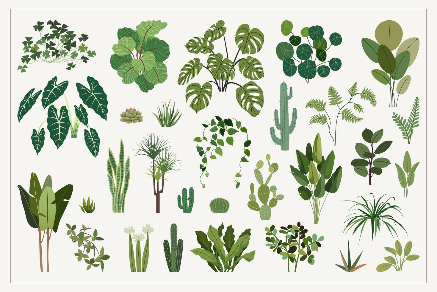 Exotic house plants set. Greenhouse urban jungle. Indoor tropical flowers. Trendy home decor with indoor plants in Scandinavian flat style. Illustration for cards, banner, web design, and cover vector