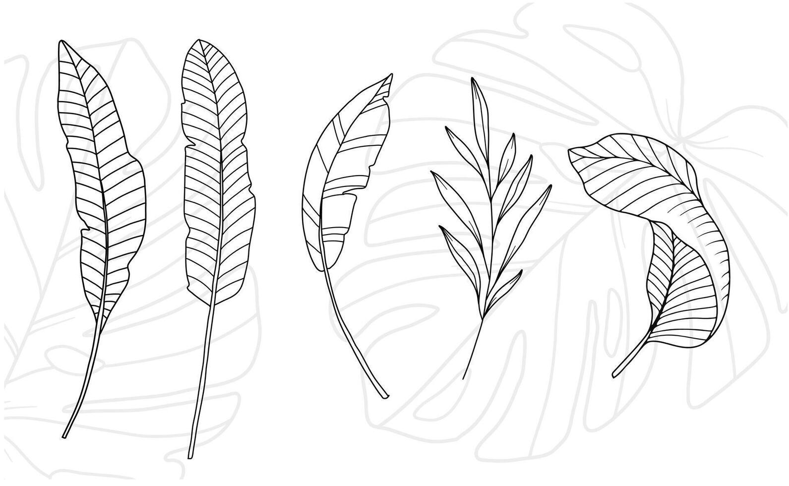 Tropical Leaves Outline. Line Art Tropical Plants. Floral Line Art. Flower Coloring Page. Fine Line Tropical Greenery illustration. Hand Drawn flowers. Tropical Wedding invitation flowers vector