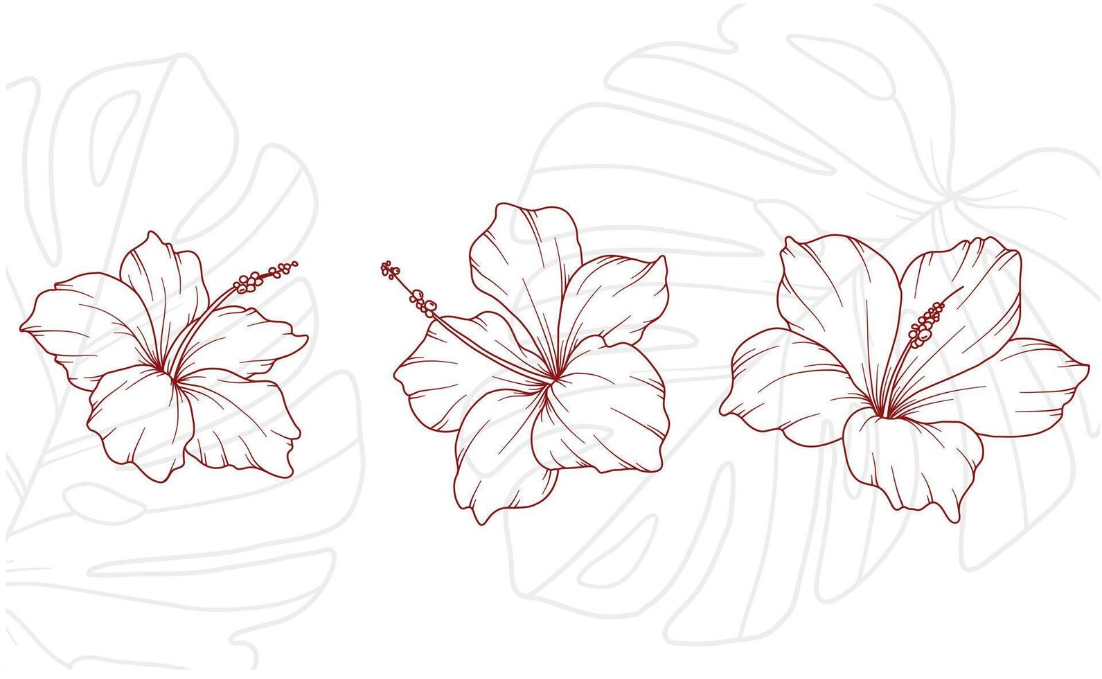 Hibiscus Outline. Line Art Tropical Plants. Floral Line Art. Flower Coloring Page. Fine Line Tropical Greenery illustration. Hand Drawn flowers. Tropical Wedding invitation flowers vector