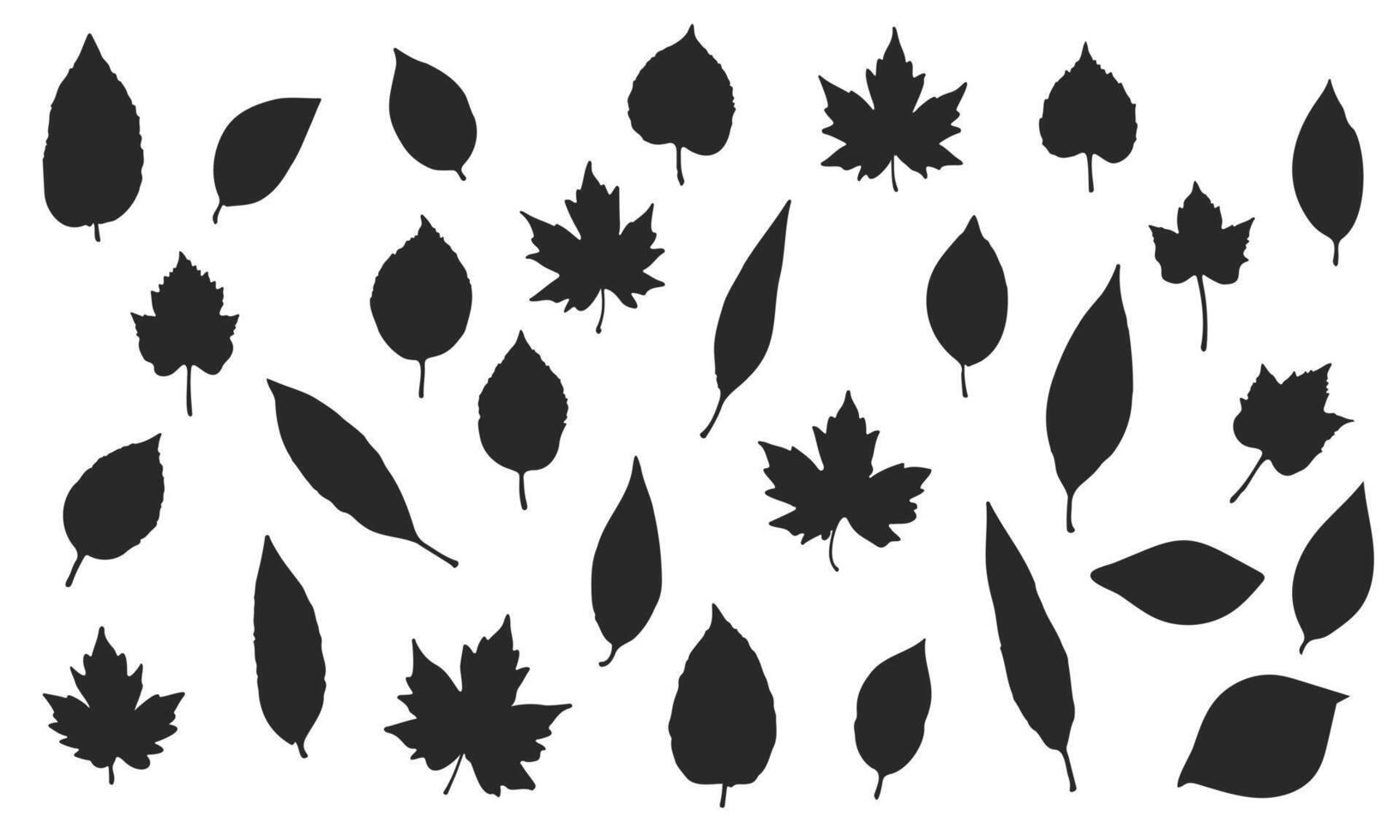 set of silhouettes of various leaves vector