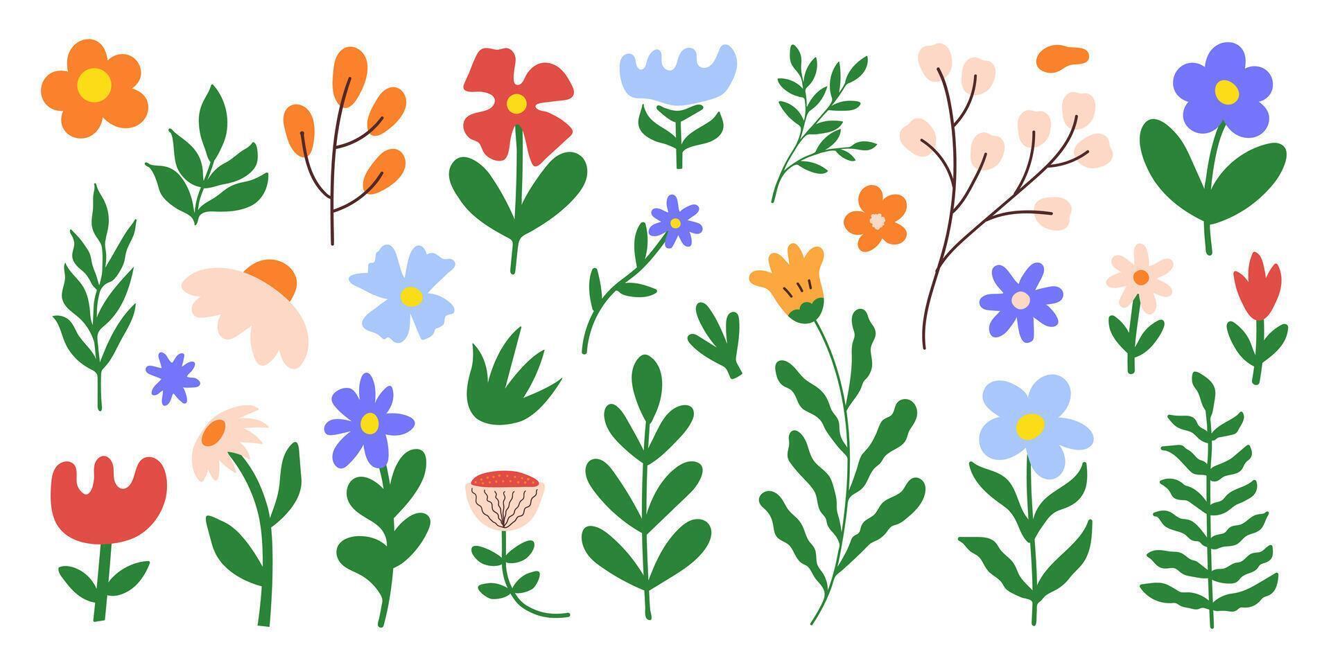 Floral set colorful botanical elements on a white background. Spring and summer groovy flowers, leaves, branches. vector