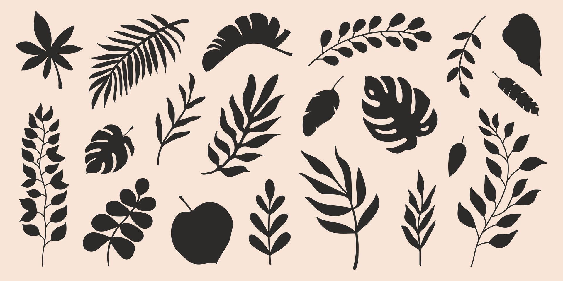 Set of black botanical silhouette elements on a beige background vector