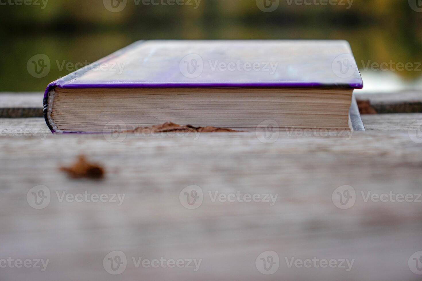 Closed book on the lake wooden dock on autumn day. Reading and learning enjoying tranquility of nature. Peaceful outdoor environment. Selective focus. Blurred background. photo