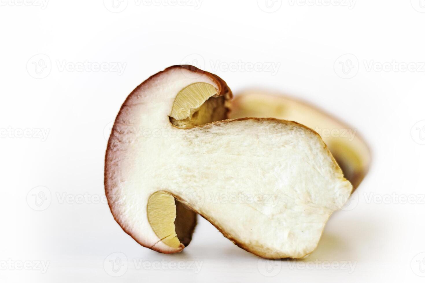 Freshly sliced porcini mushroom. Closeup of white fungus slice. Half of boletus mushroom with worm traces. Copy space. Isolated on white background. photo