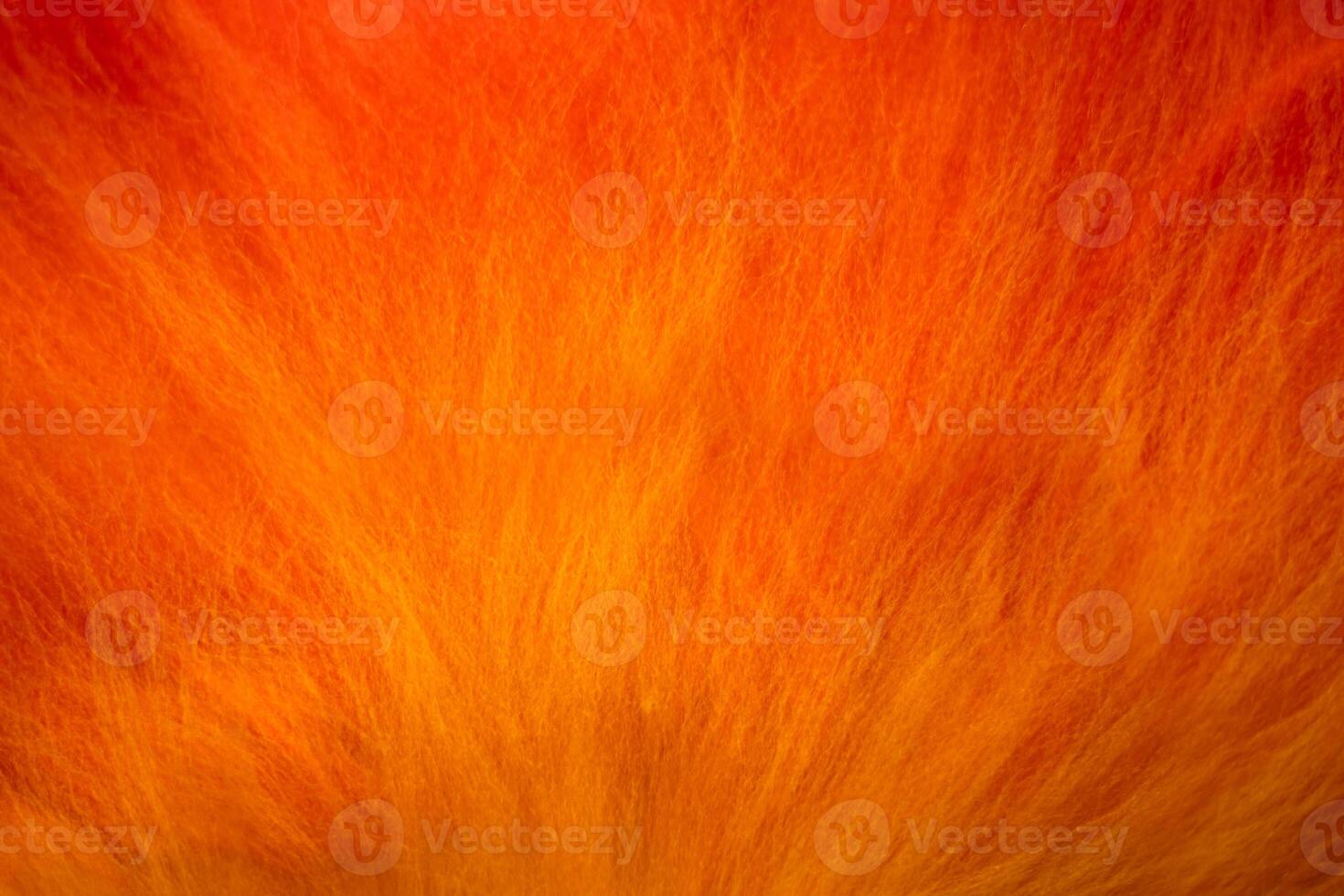 Vibrant gradient wool texture in striking. Felting process. Laying out the wool fibers. Perfect for backgrounds, artistic compositions. Copy space photo
