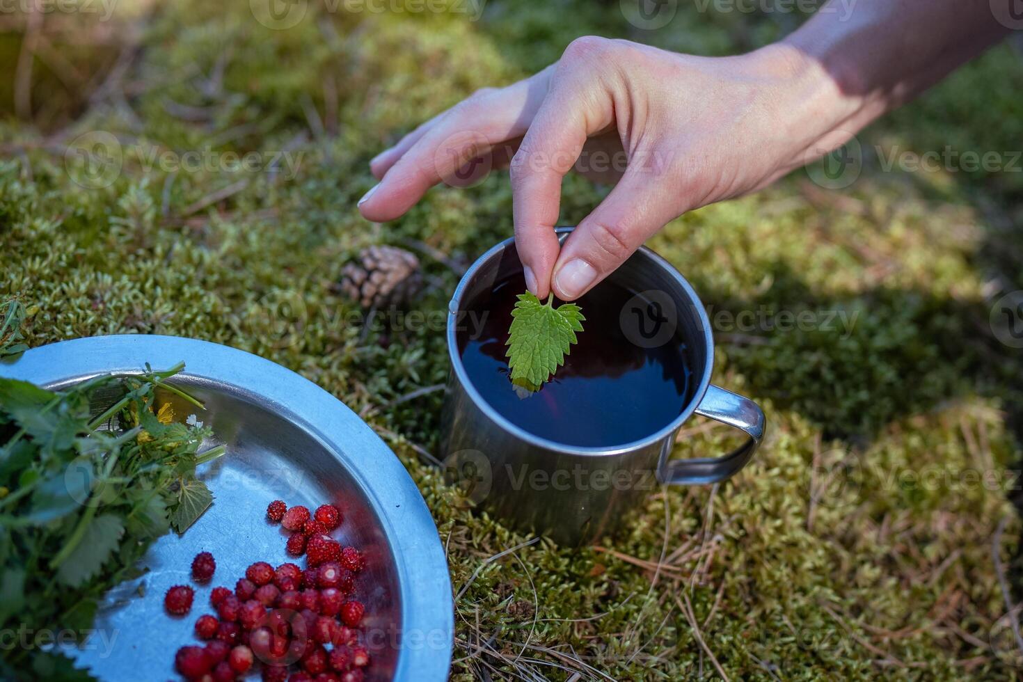 Hand of traveler tourist carefully adding mint leaf to mug of black tea standing on green grass. photo