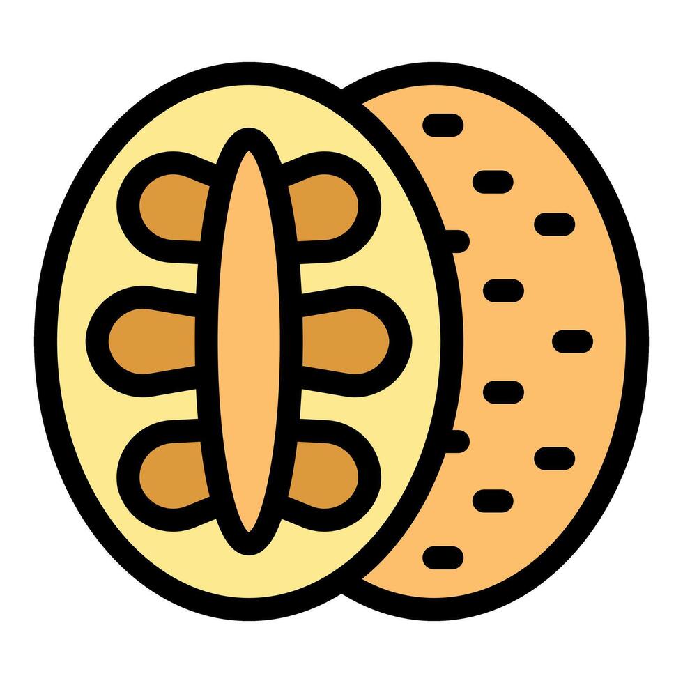 Half kiwi fruit showing seeds and flesh icon vector