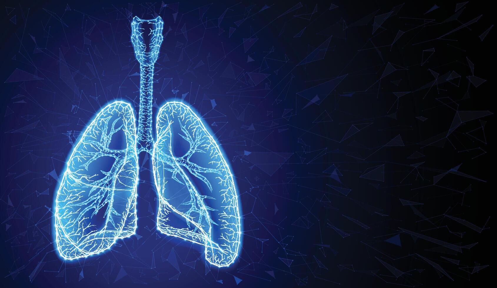 Illustration of two human lungs in a modern style using geometric shapes connected to form the shape of human lungs on a dark blue background. For medical, educational, scientific and commercial. vector