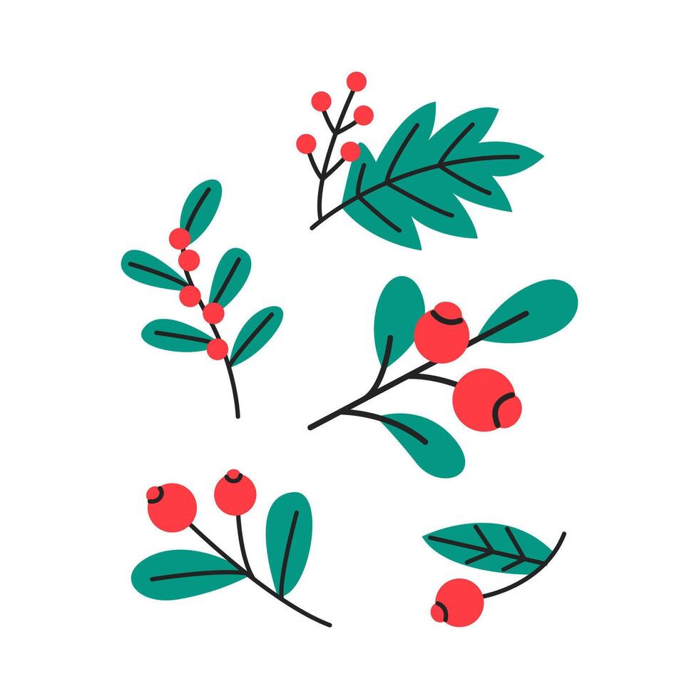 Christmas holly berry set. Red berries and leaves. Xmas plants collection isolated on white background. Cartoon holiday illustration. vector