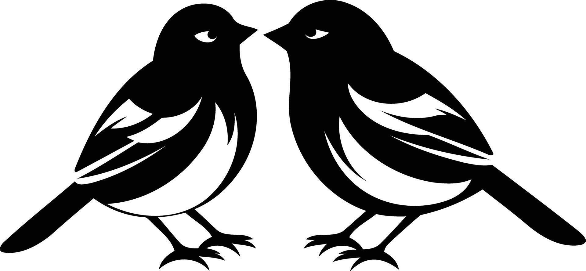 Two black and white birds are standing together vector