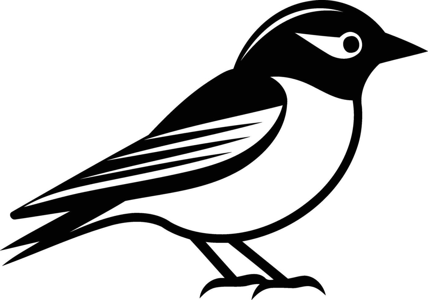 A black and white bird is standing on a white background vector