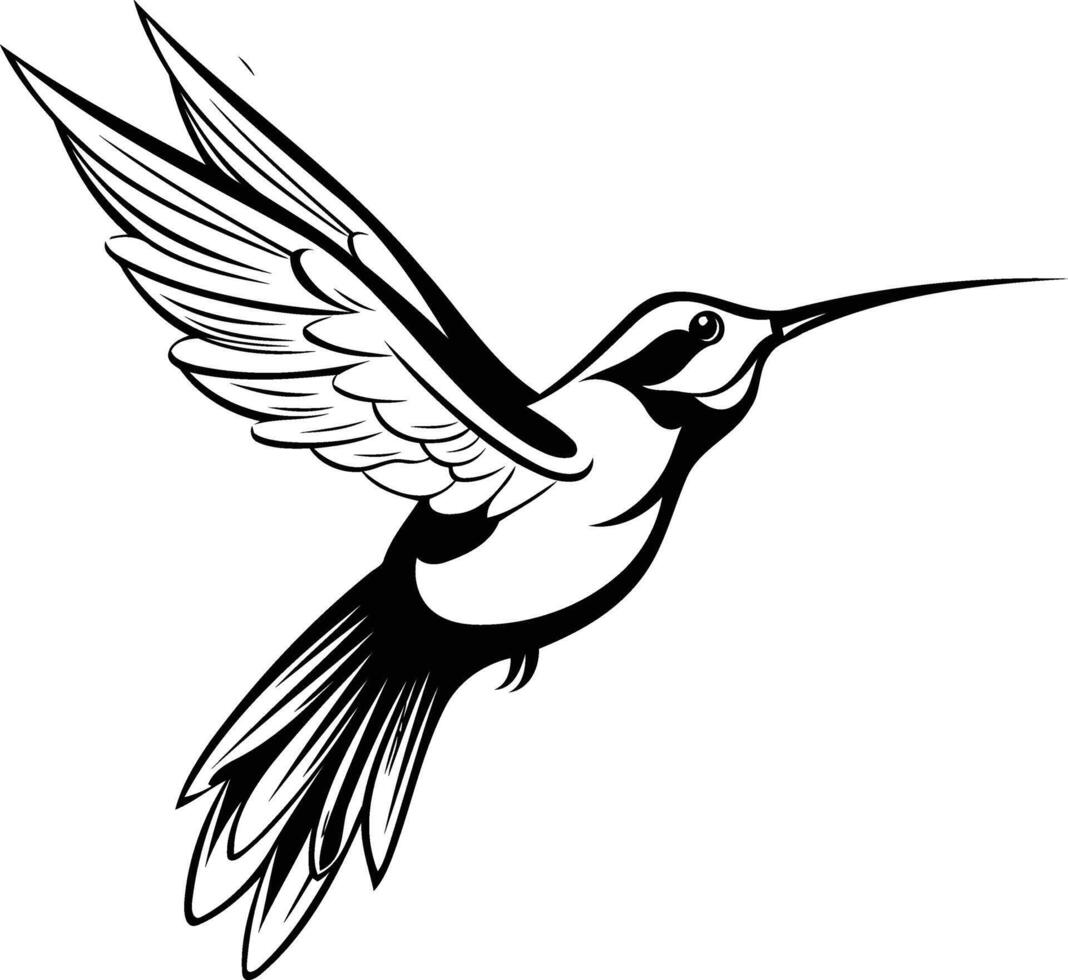 Hummingbird coloring pages vector