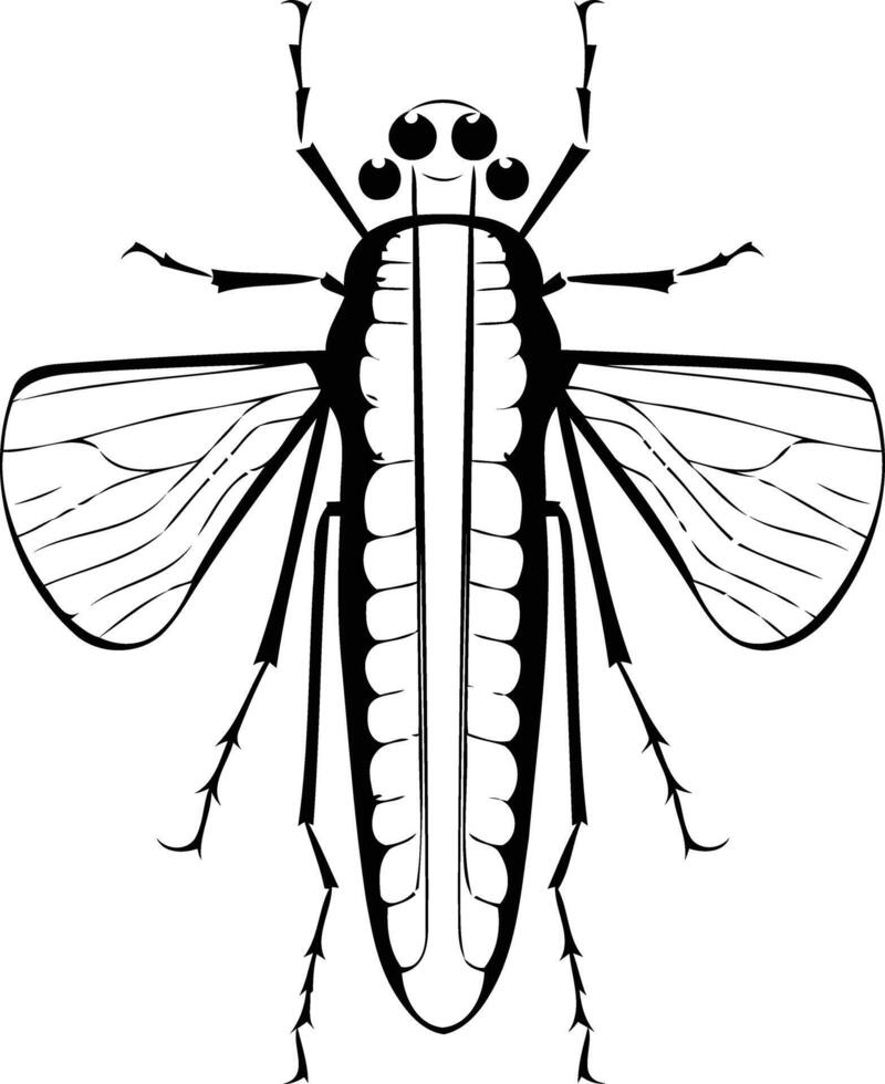 A black and white drawing of a fly vector