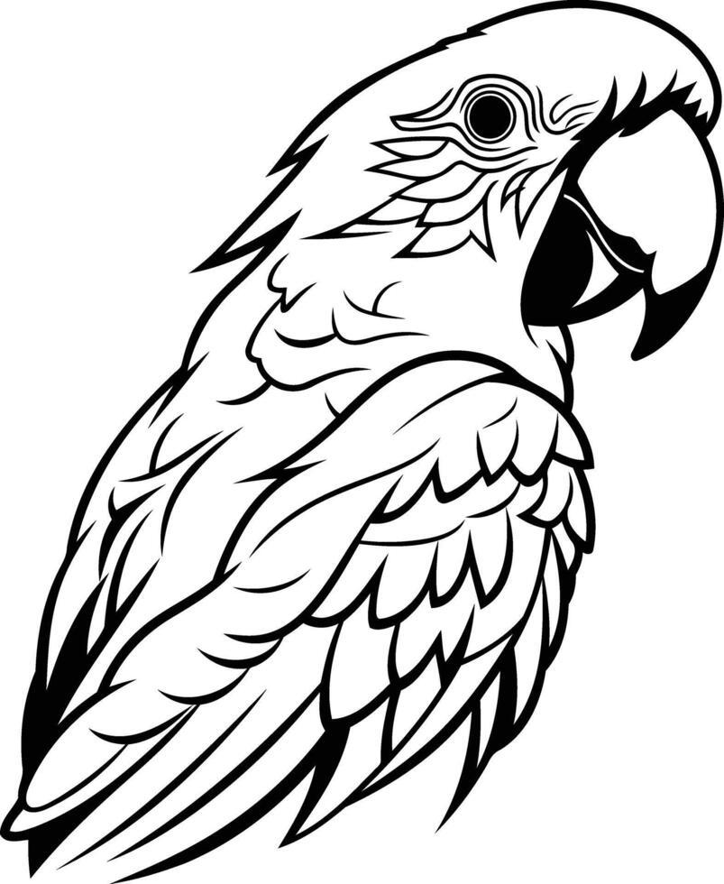 A parrot coloring page vector