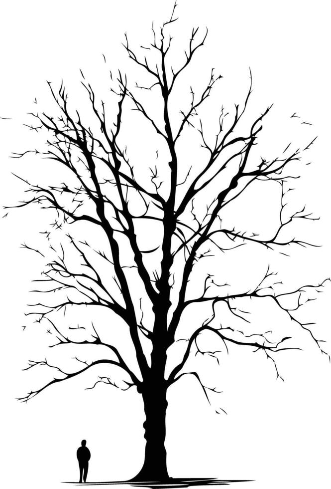 A silhouette of a tree with no leaves vector