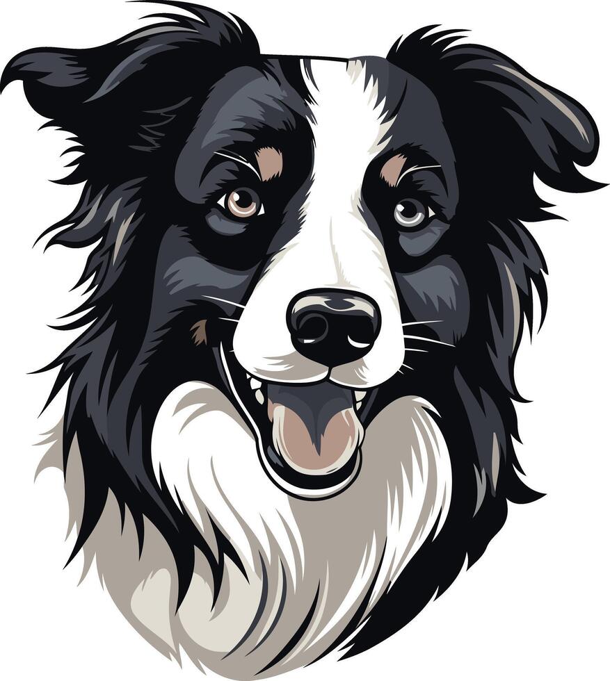 A black and white border collie dog is smiling vector