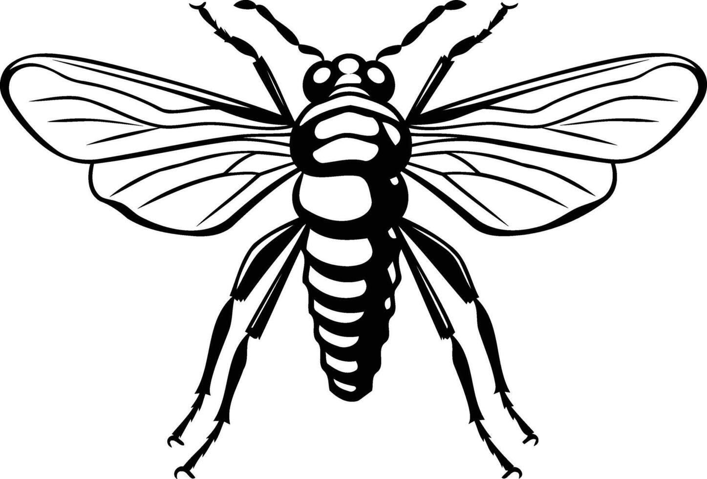 A black and white drawing of a bee vector